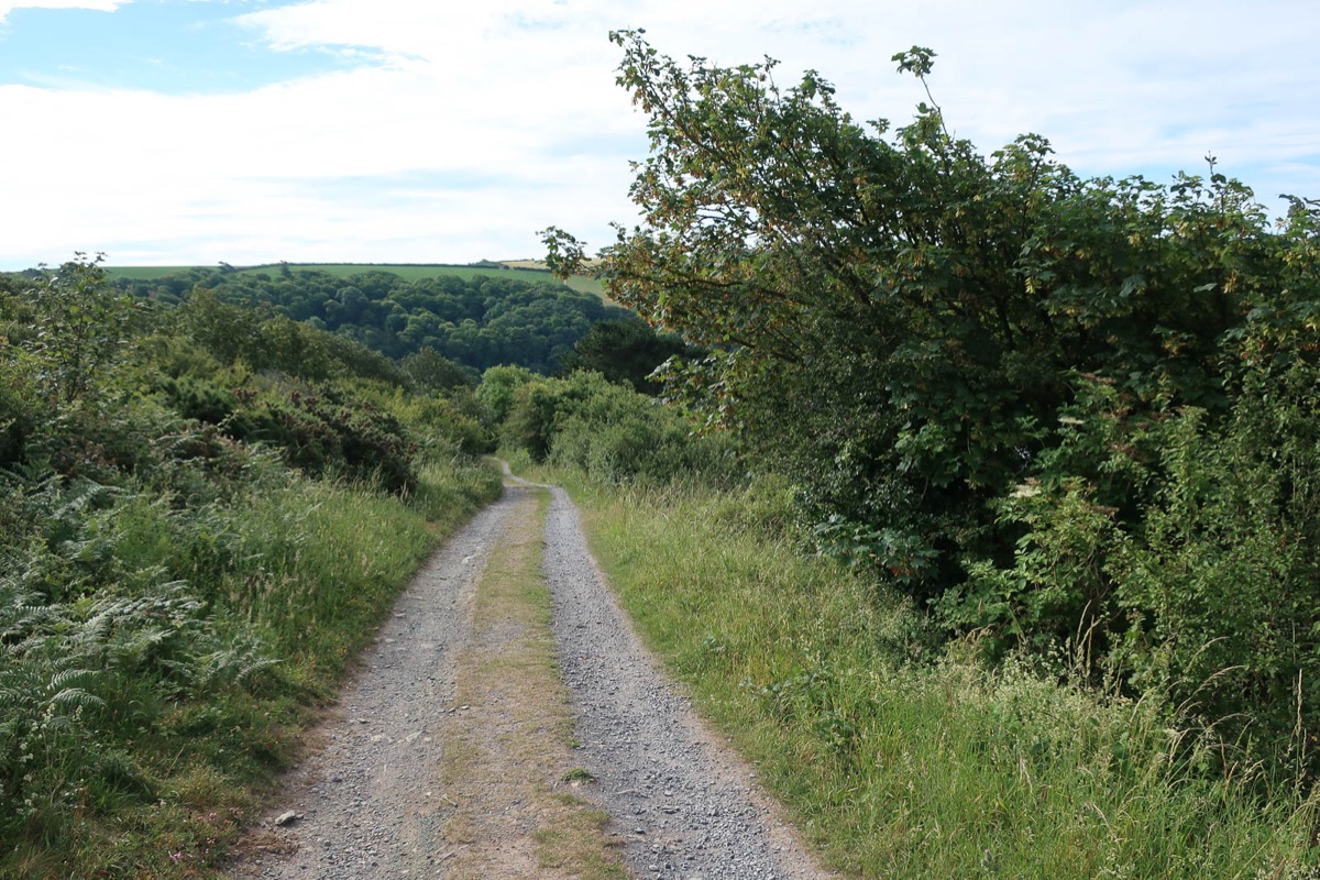 A stony track between hedges on the footpath to Warren Point