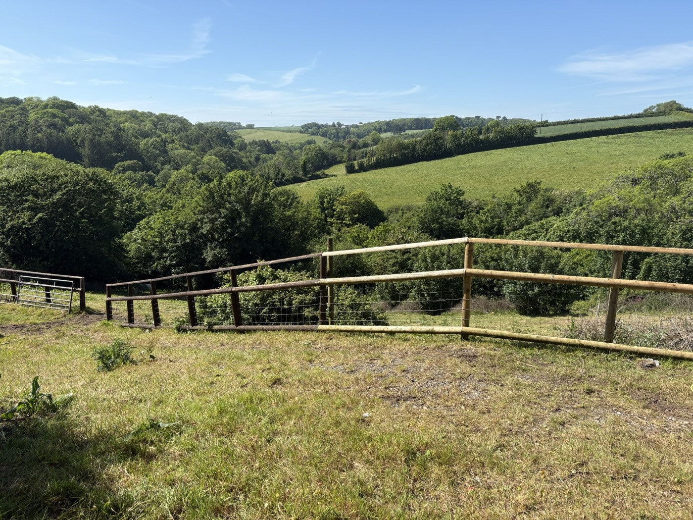 Fields and woodland in the countryside near Wembury